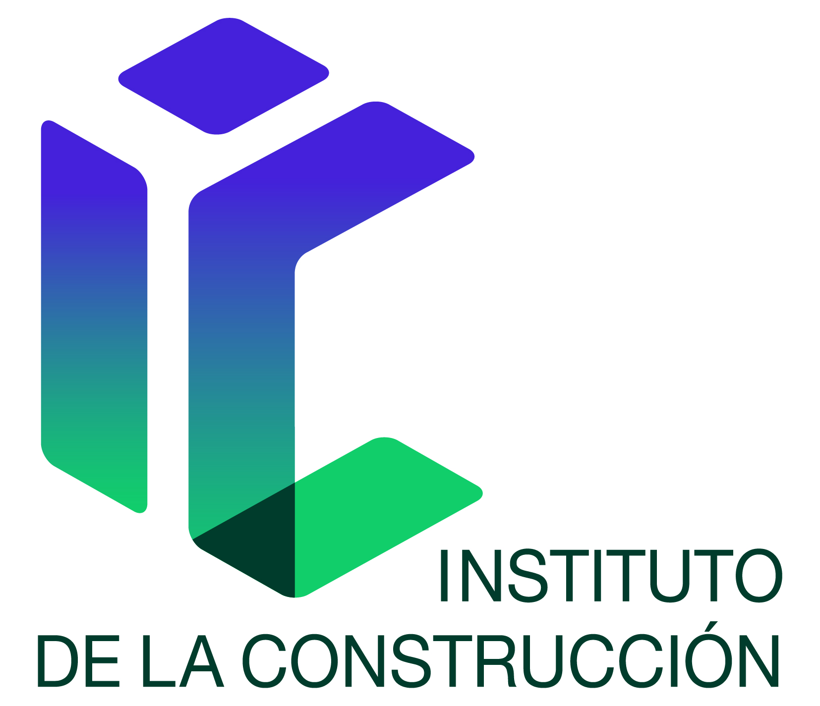 Instituto Construcción